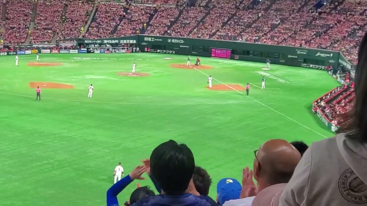 20240518　ﾈｺ走れ♪ 【金子侑司 応援歌】　3回表　埼玉西武ﾗｲｵﾝｽﾞ@みずほPayPayﾄﾞｰﾑ福岡･外野ﾚﾌﾄ ﾋﾟﾝｸﾌﾙﾃﾞｰ