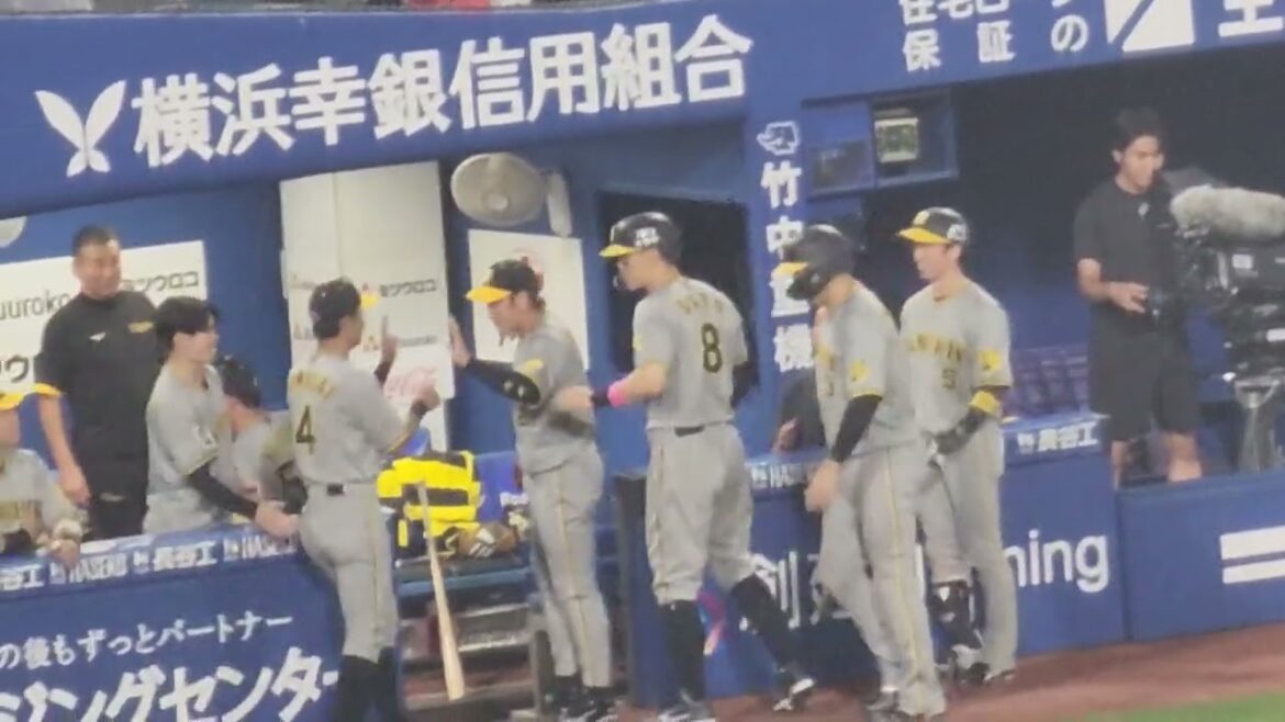 坂本誠志郎の２点タイムリー！阪神追加点！！