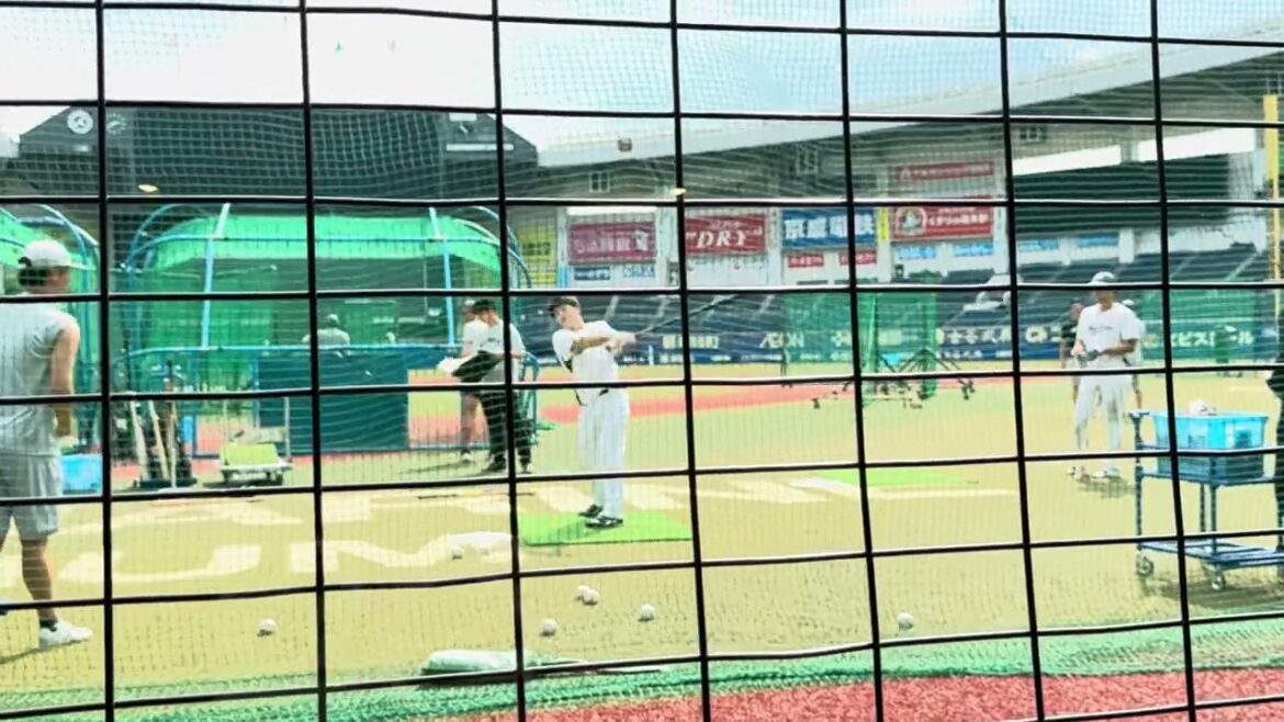 【リポビタンシート練習見学会】長尺バットでトスバッティング  BLACK SUMMER WEEK 2024/8/6 ロッテ vs ソフトバンク #chibalotte