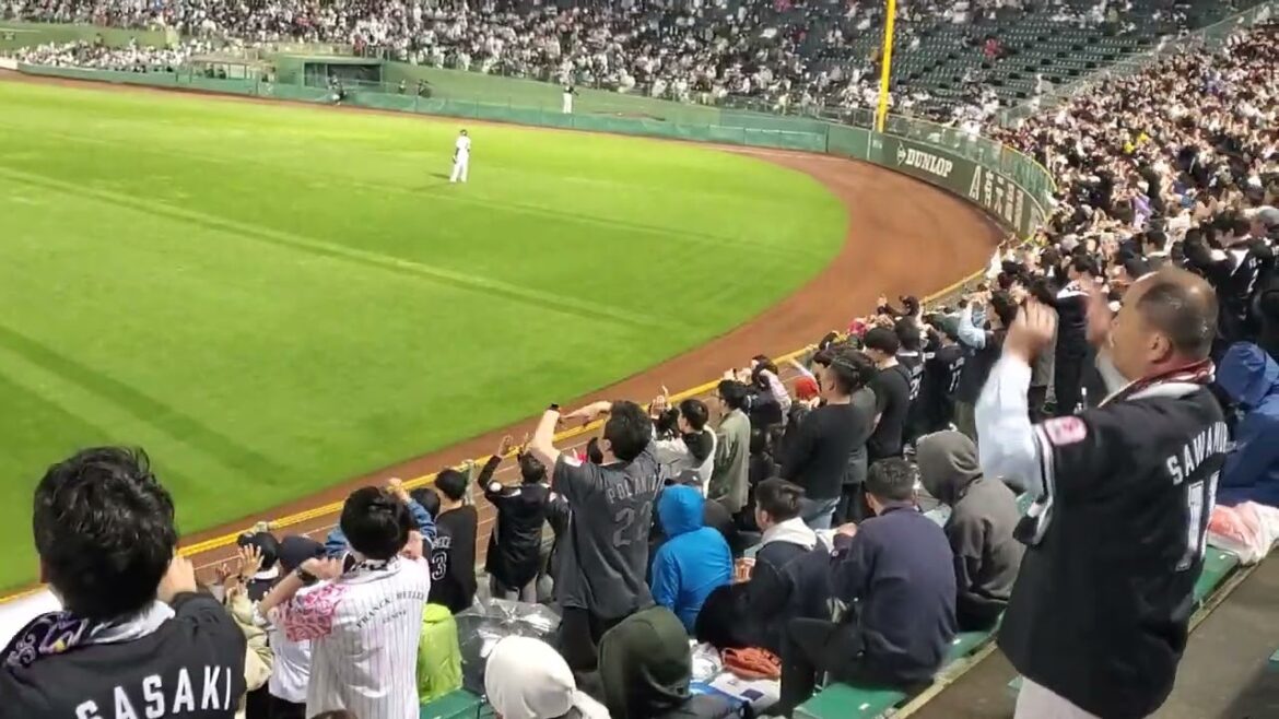 20240501　ﾜｯｼｮｲ♪【安田尚憲 応援歌】千葉ロッテマリーンズ　7回表@ほっともっとﾌｨｰﾙﾄﾞ神戸･ﾚﾌﾄ外野