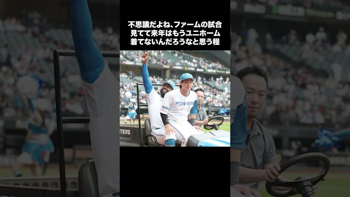 【日本ハム】福田光輝「継続できるように」【日本ハム反応集】【ネットの反応】 #日本ハムファイターズ #福田光輝 #新庄監督 #sports #short