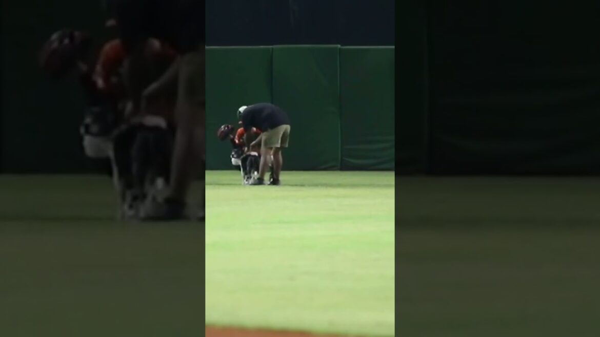 El nuevo amigo de Tomo Otosaka 🐶🐾⚾️