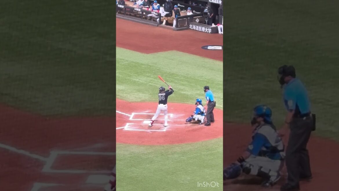 紅林弘太郎　7月31日　#エスコンフィールド  フルスィングで足首捻った？　痛そうだった