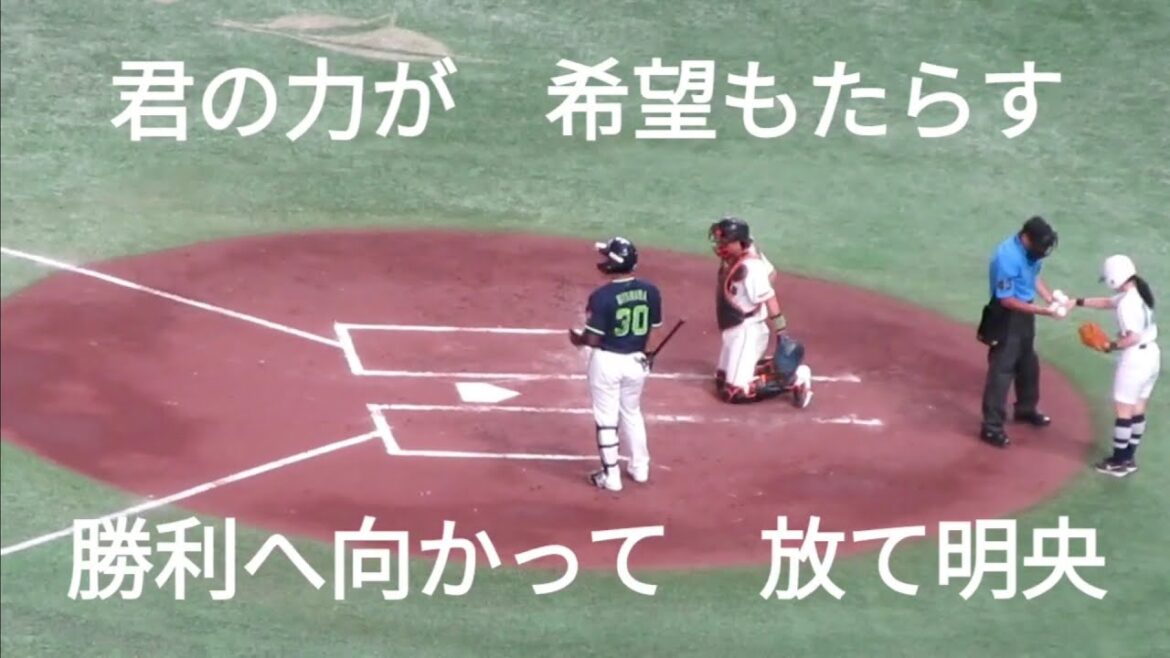 2024 東京ヤクルトスワローズ 西田明央 応援歌