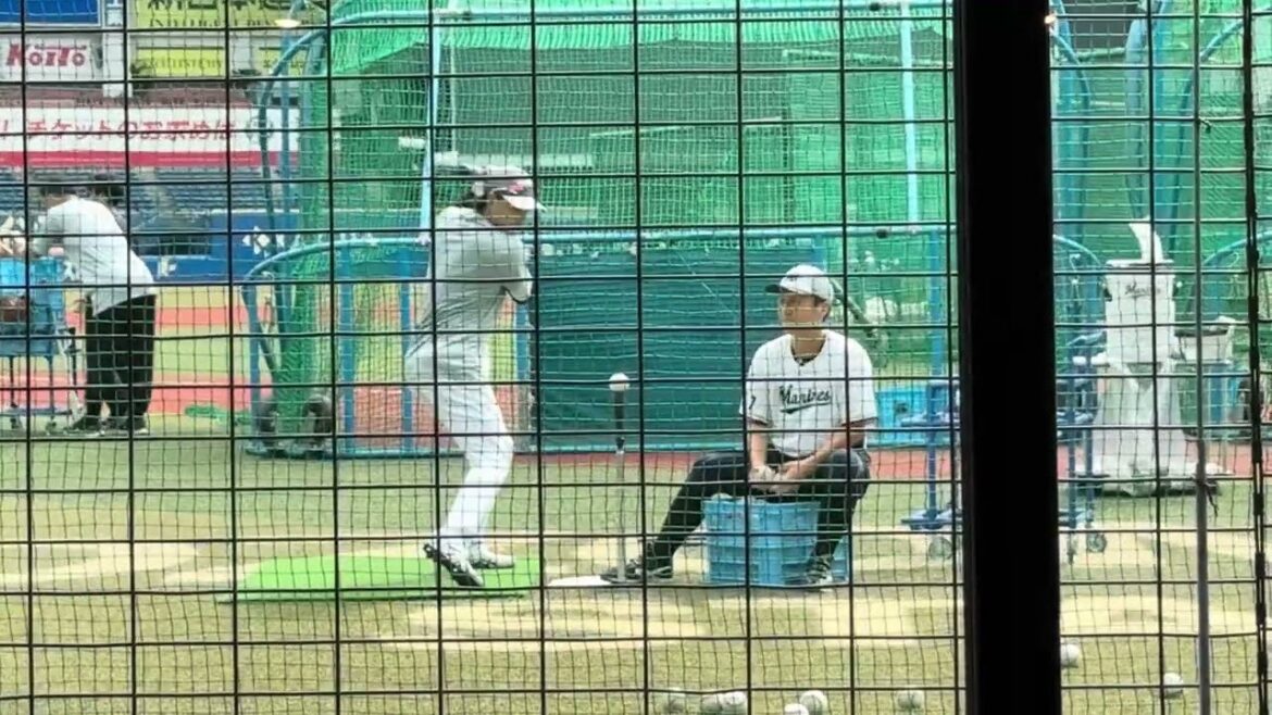 【リポビタンシート練習見学会】小川龍成ティーバッティング BLACK SUMMER WEEK 2024/8/6 ロッテ vs ソフトバンク #chibalotte 【リポビタンシート練習見学会】小川龍成ティーバッティング BLACK SUMMER WEEK 2024/8/6 ロッテ vs ソフトバンク #chibalotte