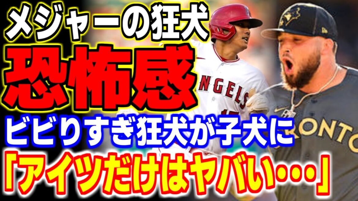 「大谷翔平はクレイジーだよ…」メジャーの狂犬が思わず漏らした本音がヤバい！！【海外の反応/メジャーリーグ/MLB】