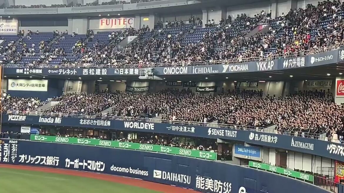 【応援歌】岡大海