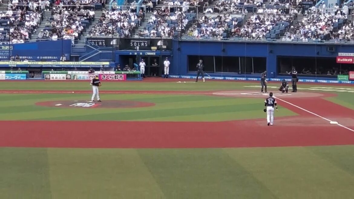 20240525　ついに復帰！【髙部瑛斗 応援歌】　6回ｳﾗ　千葉ﾛｯﾃﾏﾘｰﾝｽﾞ@ZOZOﾏﾘﾝｽﾀｼﾞｱﾑ･外野ﾚﾌﾄ