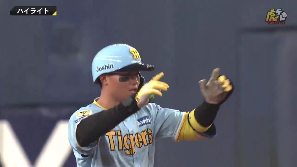 【ハイライト】阪神vs広島【2024/8/9Ｔ－C】