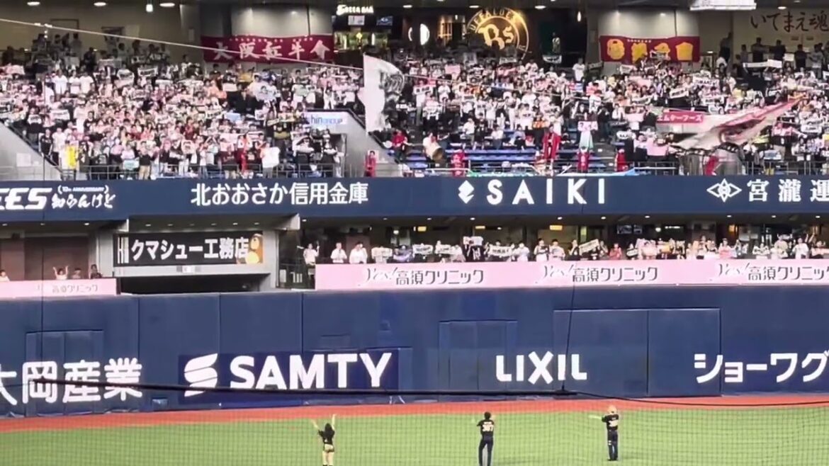 【勝利に向かって】オリックス・バファローズ✨ラッキーセブン 『SKY』🏟#京セラドーム大阪  24.8.8.