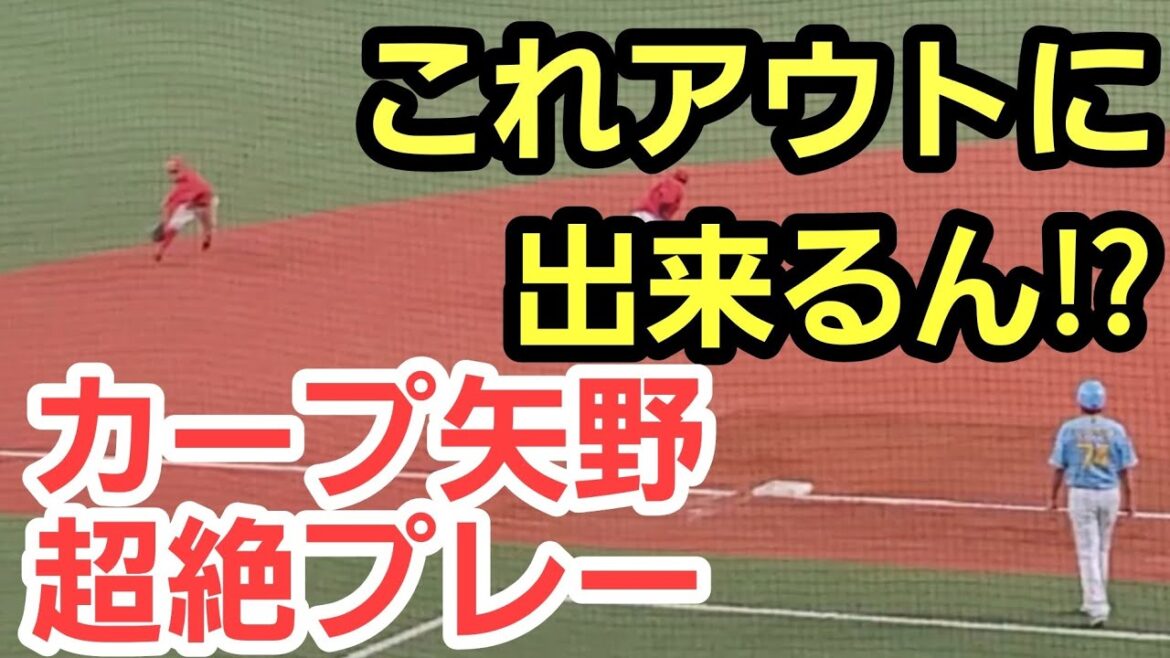 カープ矢野雅哉の美技が光る！この態勢からノーバンで投げられるスゴさ。
