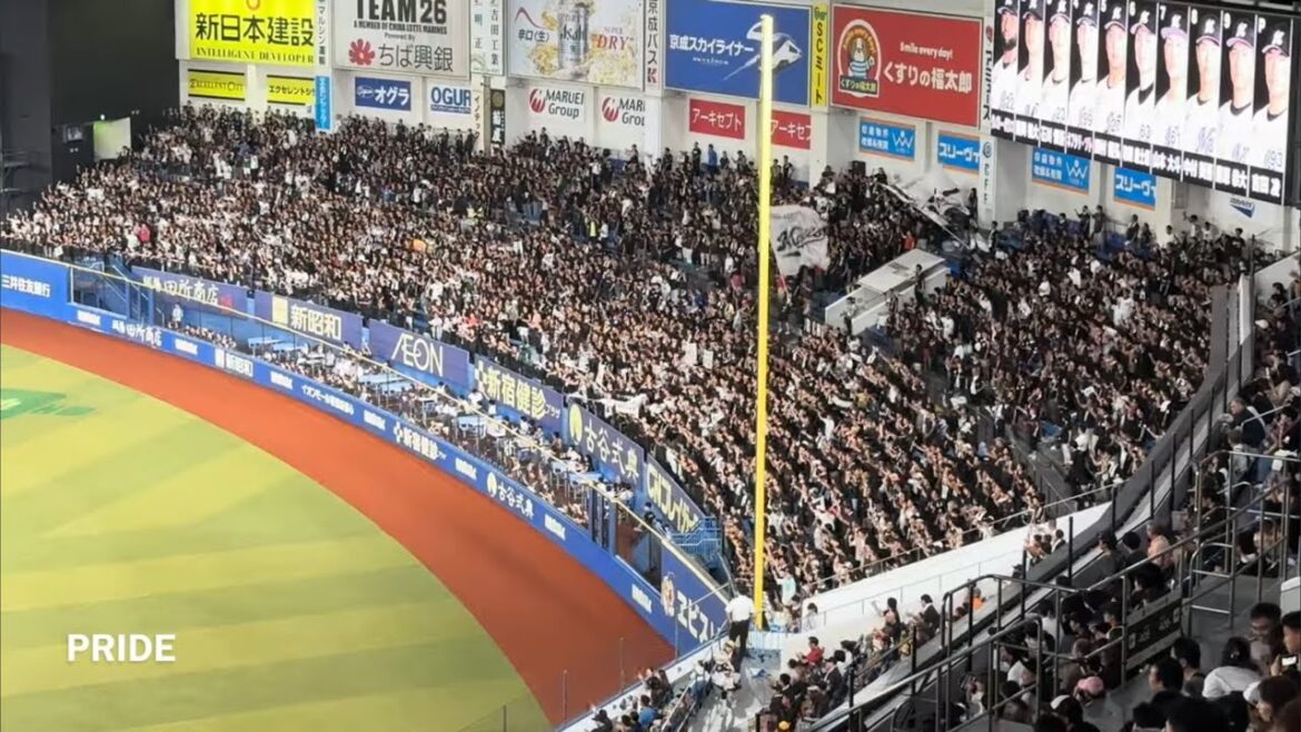 20240806 CHIBA LOTTE MARINES Chants from Pacific League Regular Season パ・リーグ公式戦 千葉ロッテマリーンズ チャント集 20240806 CHIBA LOTTE MARINES Chants from Pacific League Regular Season パ・リーグ公式戦 千葉ロッテマリーンズ チャント集