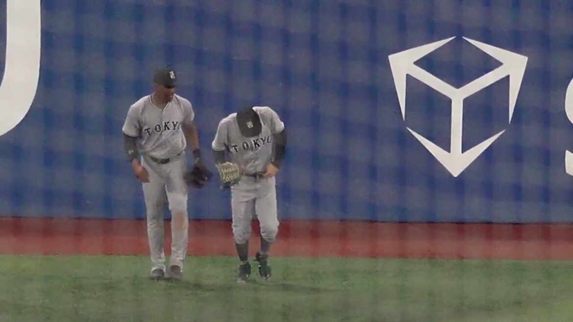 【超絶ファインプレー】若林楽人フェンス際失速無しの超好捕(2024.7.27/横浜スタジアム)