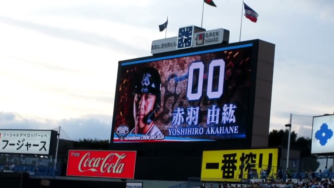2024 東京ヤクルトスワローズ 赤羽由紘 登場曲 ヒノマルパワー