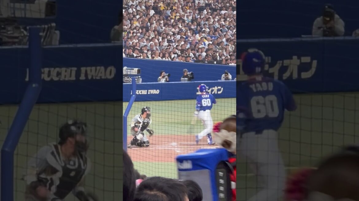 くるりん🌀山本！2024.4.14 ナゴド・阪神3回戦　#梅津 #トミージョン #復活