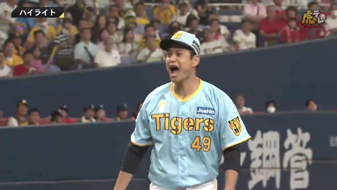 【ハイライト】阪神vs広島【2024/8/10Ｔ－C】