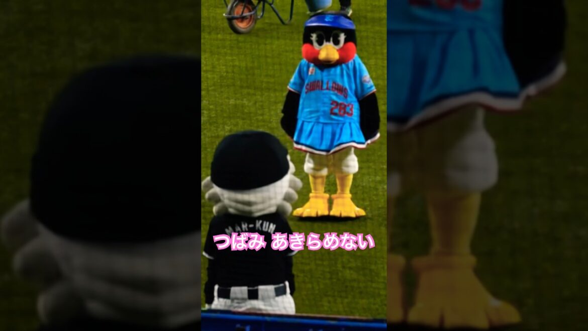 つばみ　マーくんを最後まで諦めず！　#swallows #野球 #つばみ #chibalotte #日本生命セパ交流戦 #つばみちゃん