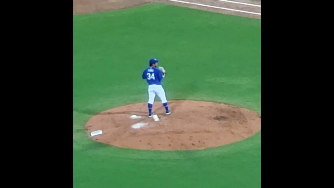 20240804　#福敬登 の投球練習　#shorts　#投球フォーム　中日ﾄﾞﾗｺﾞﾝｽﾞ@MAZDA Zoom-Zoom ｽﾀｼﾞｱﾑ広島･ﾋﾞｼﾞﾀｰﾊﾟﾌｫｰﾏﾝｽ