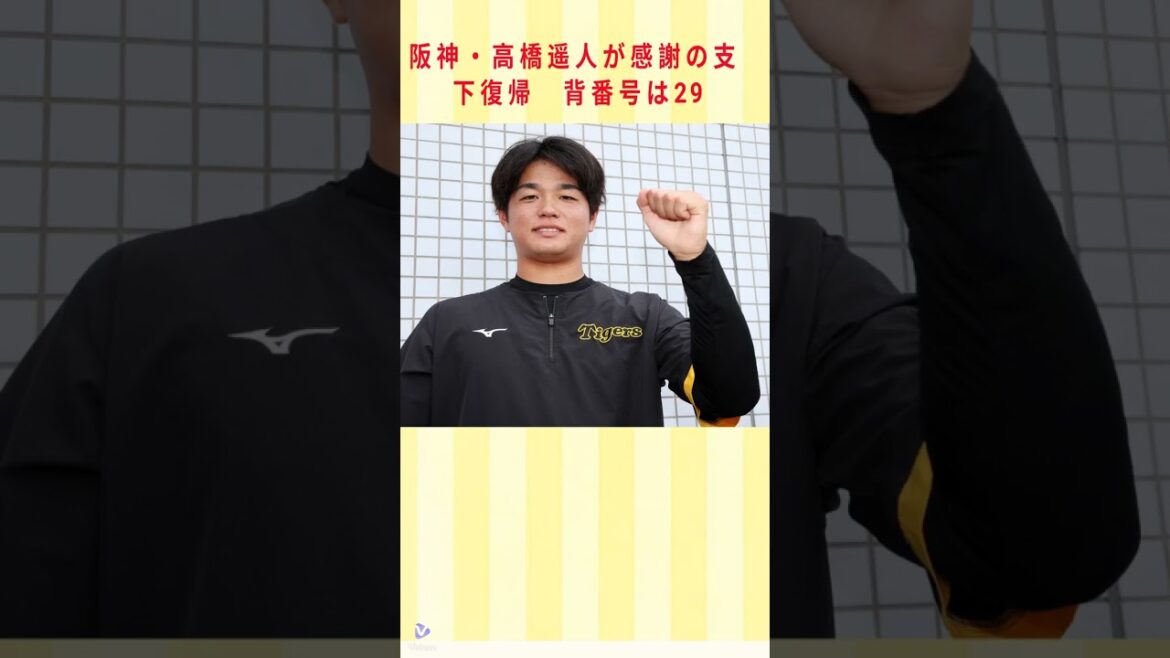 阪神・高橋遥人が感謝の支配下復帰　背番号は29