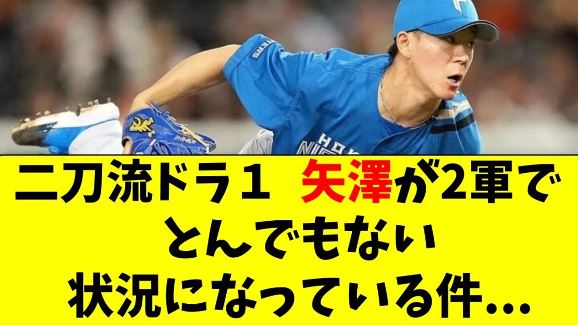 【日ハム】矢澤宏太の2軍での現在の状況がこちら・・・