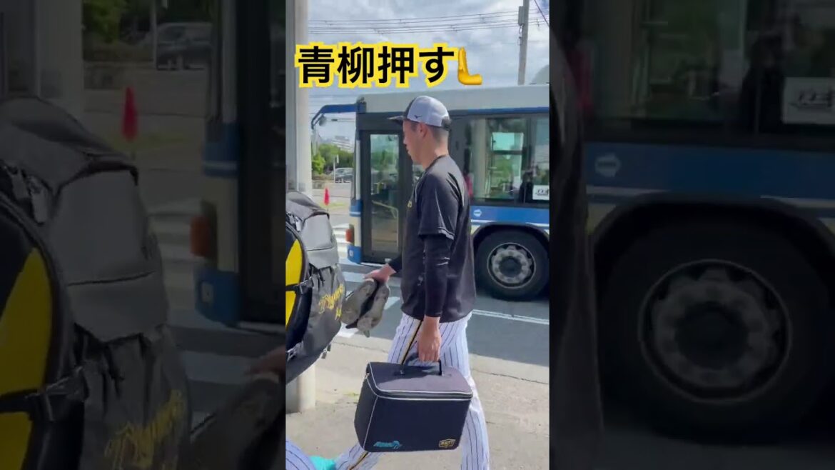 #tigers #青柳晃洋 押す仕事