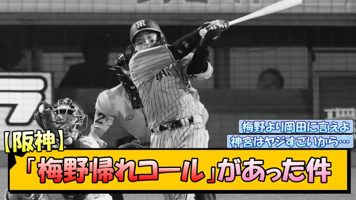 【阪神】「梅野帰れコール」があった件【なんJ/2ch/5ch/ネット 反応 まとめ/阪神タイガース/岡田監督/梅野隆太郎】