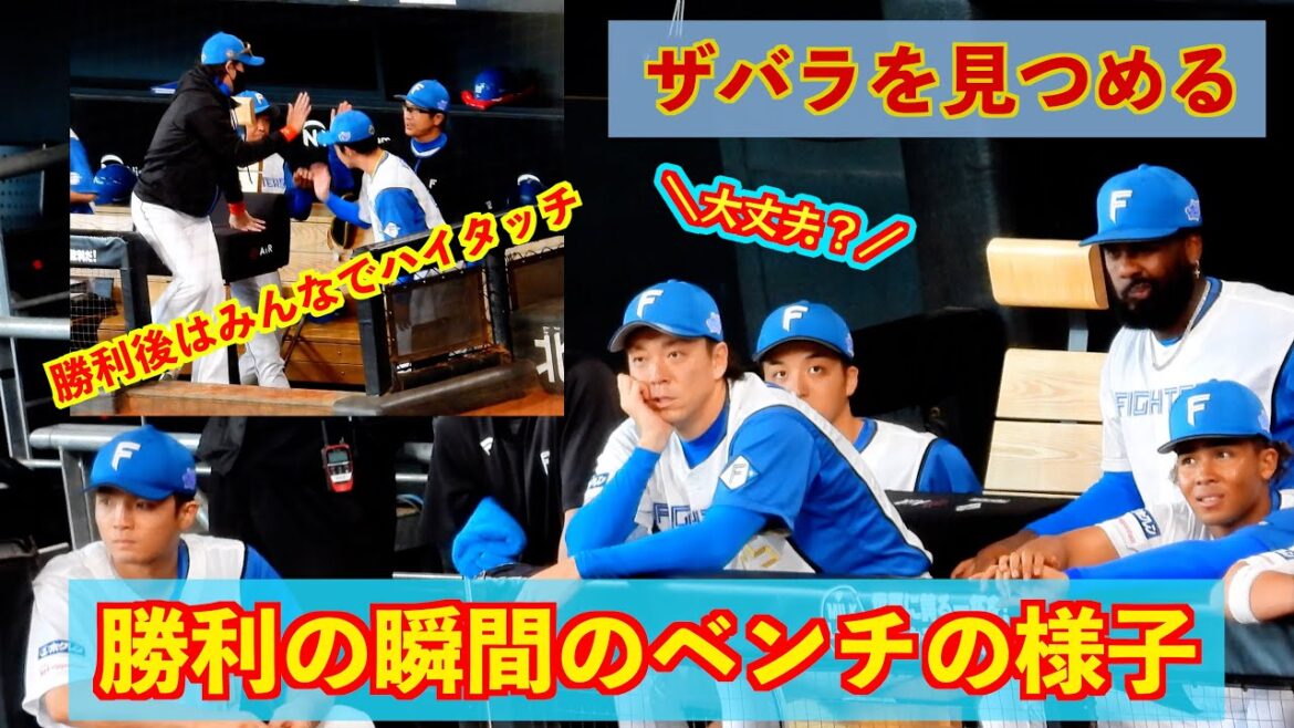 【20240810】勝利の瞬間のベンチの様子から一丁締めまで
