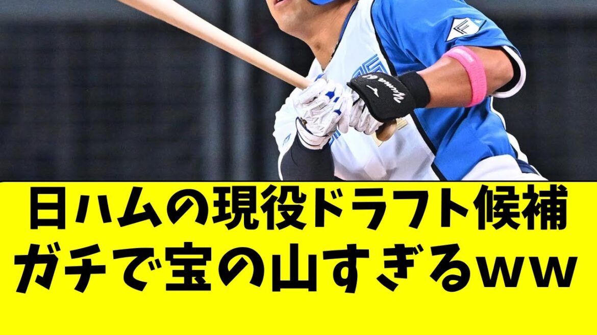 【日ハム】今年の現役ドラフト候補、ガチで宝の山すぎる件ｗ