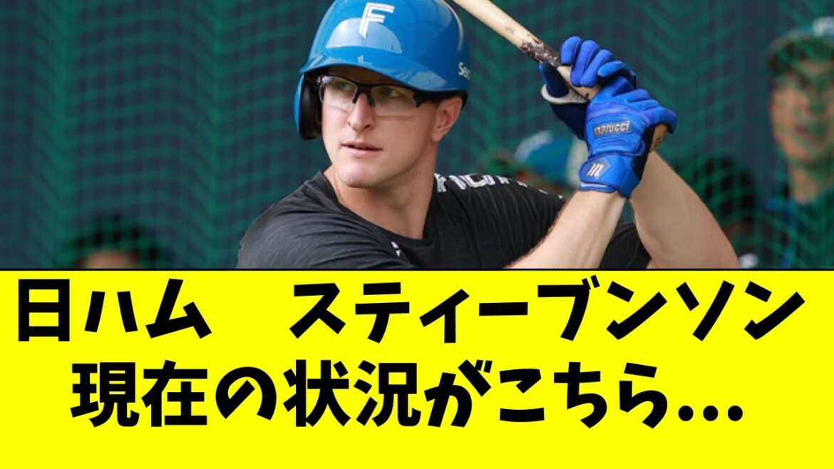 【日ハム】スティーブンソンの現在の状況がこちら・・・