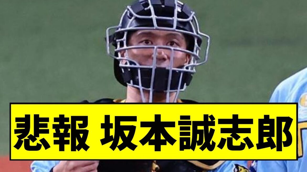 【阪神】坂本が大変なことになっていた...【2chスレ】