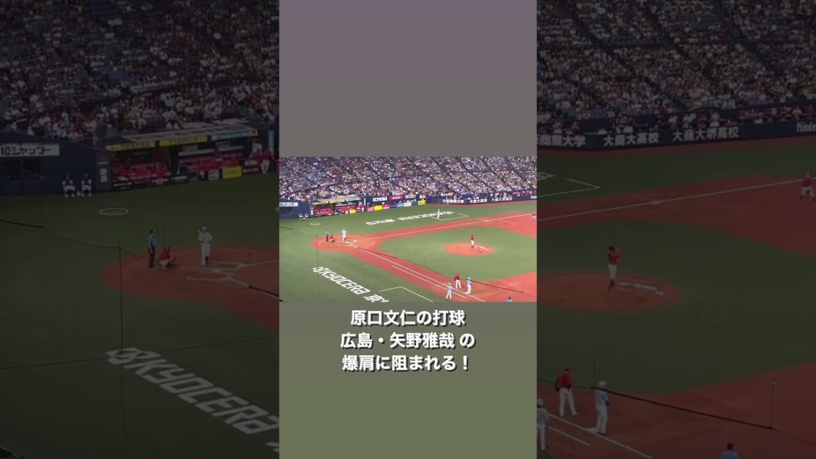 原口文仁の打球 広島・矢野雅哉 の爆肩に阻まれる！「2024.8.9  阪神vs広島」