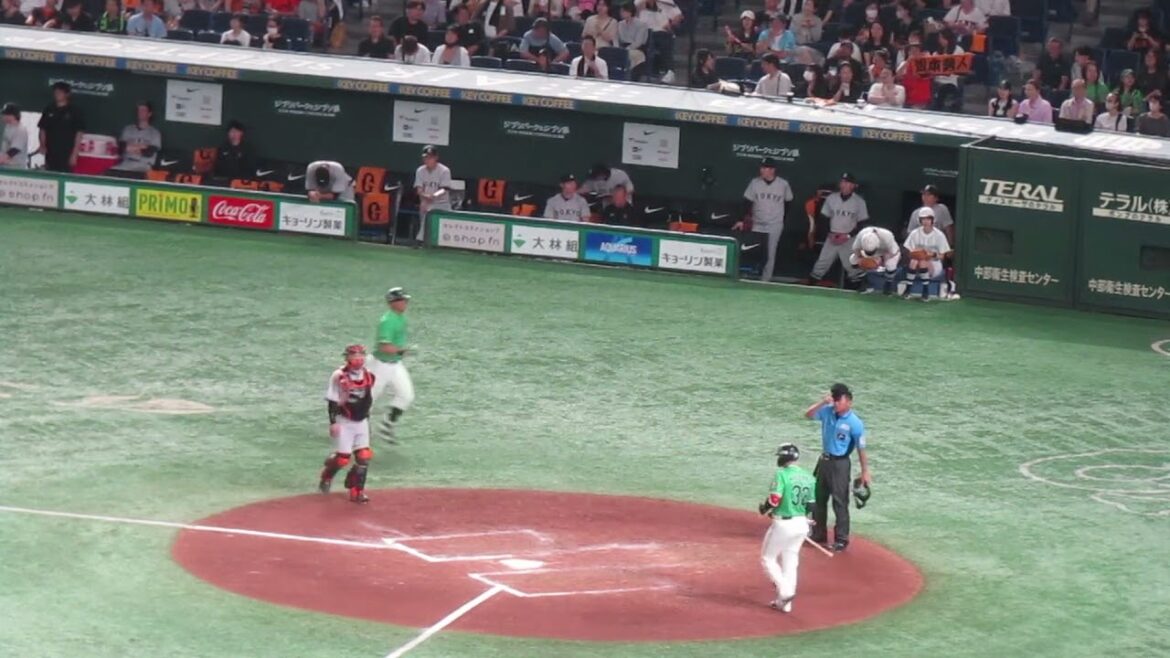 劣勢時オスナ・松本直樹を打ち取った時の巨人ベンチの様子（2024年6月22日 読売ジャイアンツ対ヤクルトスワローズ）