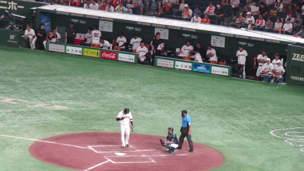 丸佳浩の凡退と巨人ベンチの選手たち＜読売ジャイアンツ 対 ヤクルトスワローズ2024年8月3日＞