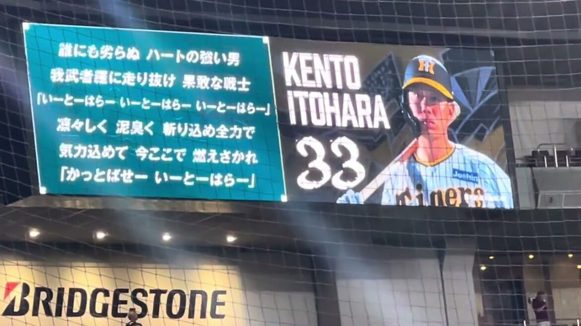 【代打 で登場】 #阪神 糸原健斗選手 登場曲〜応援歌  24.8.10.  #京セラドーム大阪