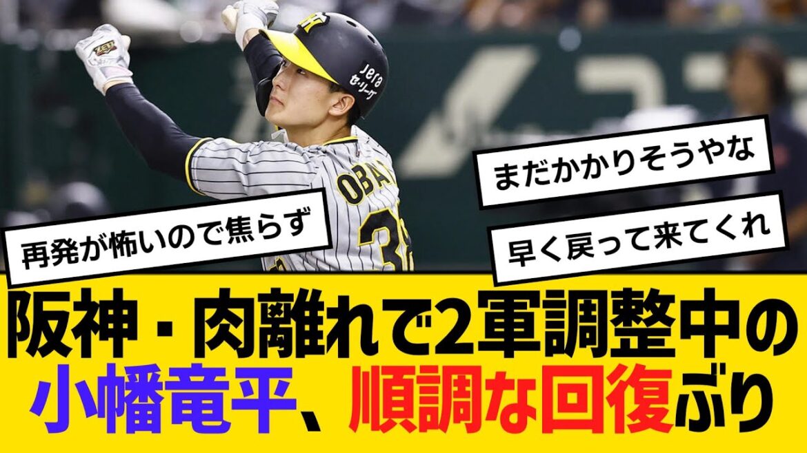 阪神・肉離れで2軍調整中の小幡竜平、順調な回復ぶり　【ネットの反応】【反応集】