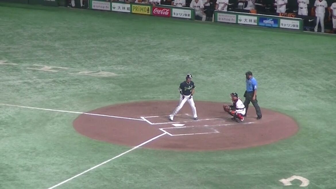 青木宣親 川端慎吾の後 長岡秀樹がツーベースヒット（2024年8月3日読売ジャイアンツ対ヤクルトスワローズ）