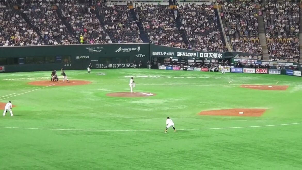 20240419　揺るぎない決意で連敗阻止へ…【若月健矢 応援歌】　4回表　ｵﾘｯｸｽ･ﾊﾞﾌｧﾛｰｽﾞ@みずほPayPayﾄﾞｰﾑ福岡･外野ﾗｲﾄ