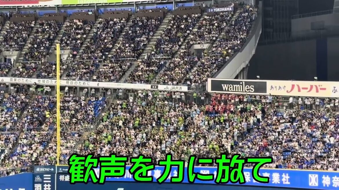 【東京ヤクルトスワローズ】武岡龍世 選手応援歌