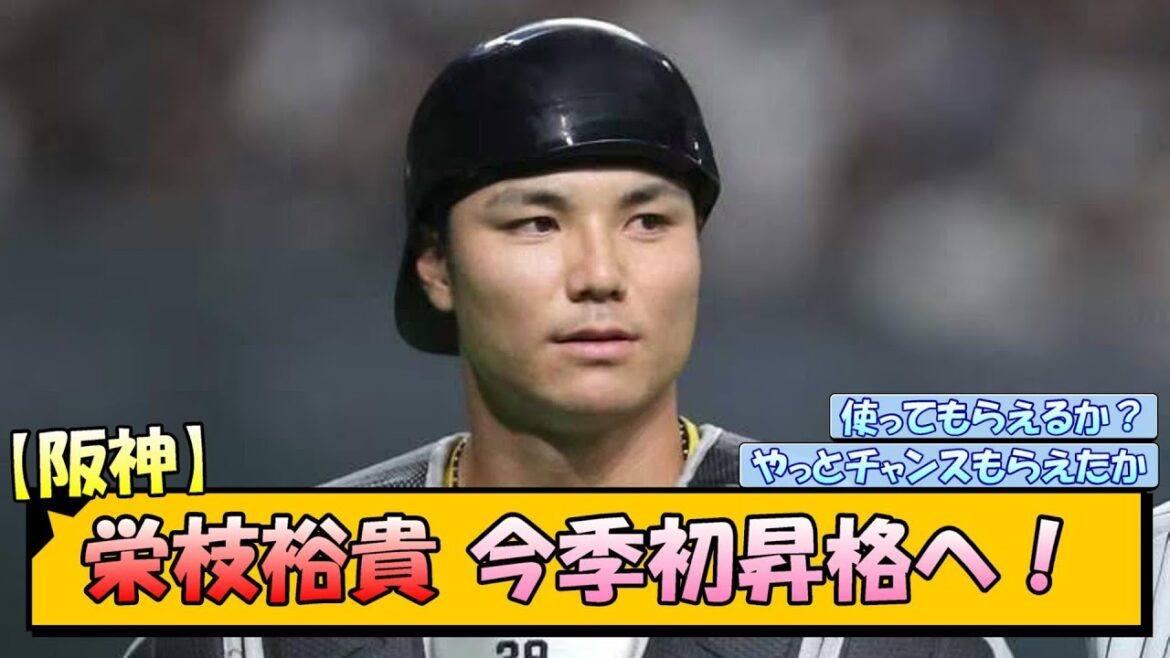 阪神・栄枝裕貴 今季初昇格へ！【なんJ/2ch/5ch/ネット 反応 まとめ/阪神タイガース/岡田監督/坂本誠志郎/梅野隆太郎】