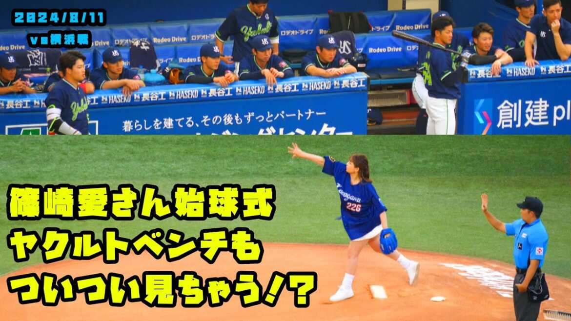 篠崎愛さん始球式　ヤクルトベンチもついつい見ちゃう！？　2024/8/11 vs横浜