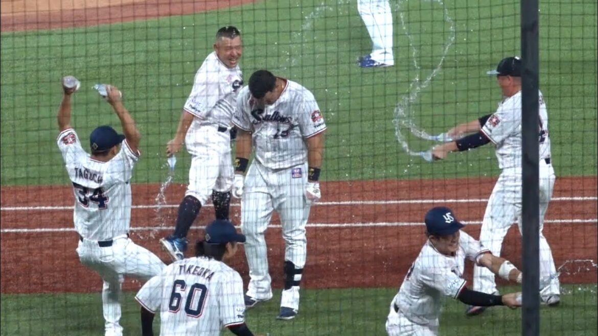 オスナのサヨナラ犠牲フライ！勝利の瞬間ハイタッチ！東京ヤクルトスワローズ 2024/08/12