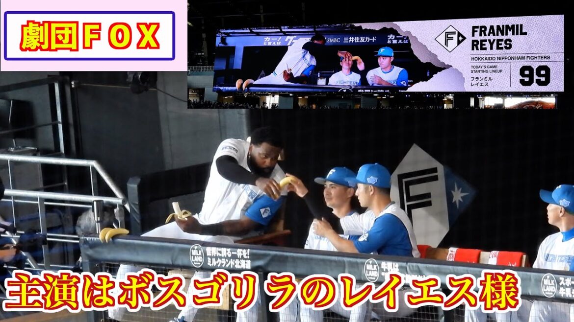 【20240812】劇団FOX(主演はボスゴリラのレイエス様) 【20240812】劇団FOX(主演はボスゴリラのレイエス様)