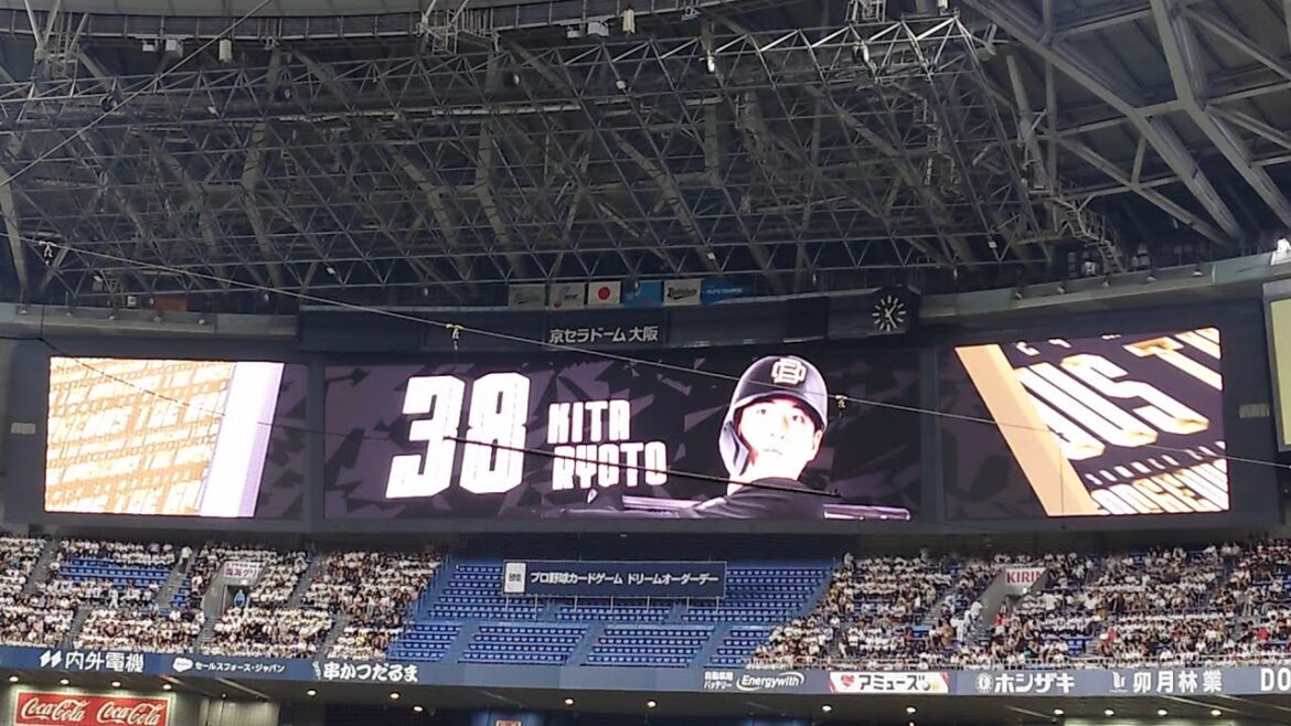 来田涼斗 選手 ｢Mrs. GREEN APPLE  ANTENNA｣ 奇数打席 登場曲 オリックス･バファローズ 選手 ビジョン映像 PV 演出 @京セラドーム 2024 Bs夏の陣