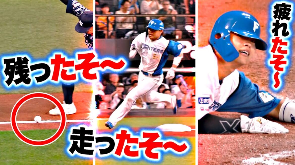 Pacific-League: 【コロコロ…】田宮裕涼『残ったそ〜!走ったそ〜!疲れたそ〜!』 【コロコロ…】田宮裕涼『残ったそ〜!走ったそ〜!疲れたそ〜!』