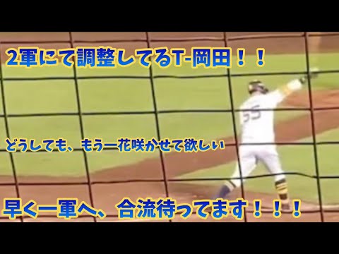 もがき苦しむ、オリックスの主砲T岡田!みんな待ってるぞ! もがき苦しむ、オリックスの主砲T岡田!みんな待ってるぞ!