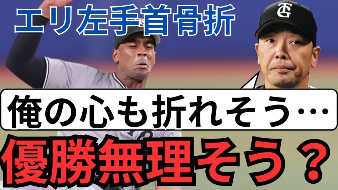 ヘルナンデスの離脱で巨人は終わり⁉︎これからの選手起用と打順について話します‼︎