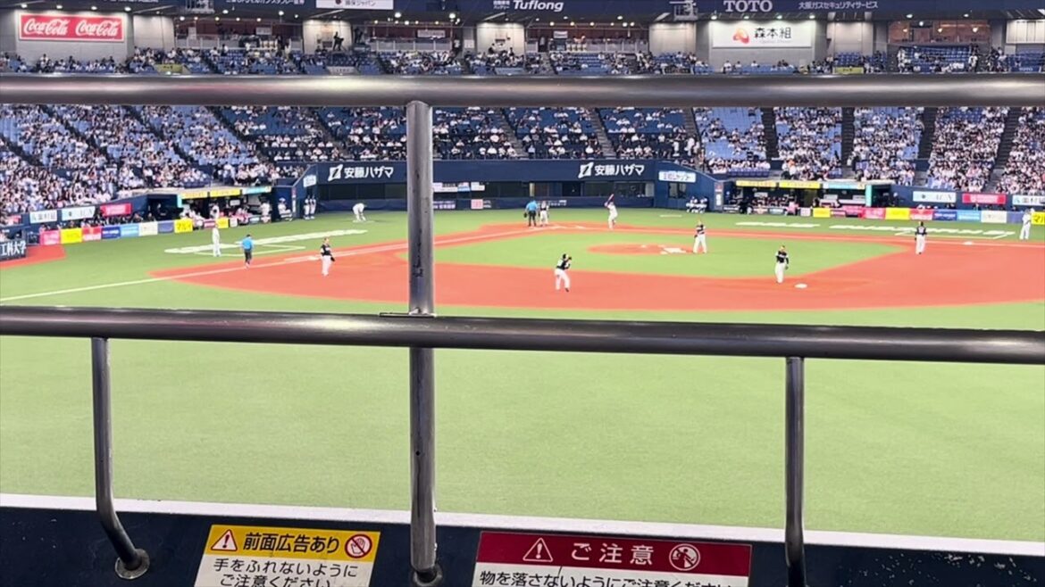 2024.6.26杉本裕太郎応援歌【京セラドーム大阪】 2024.6.26杉本裕太郎応援歌【京セラドーム大阪】