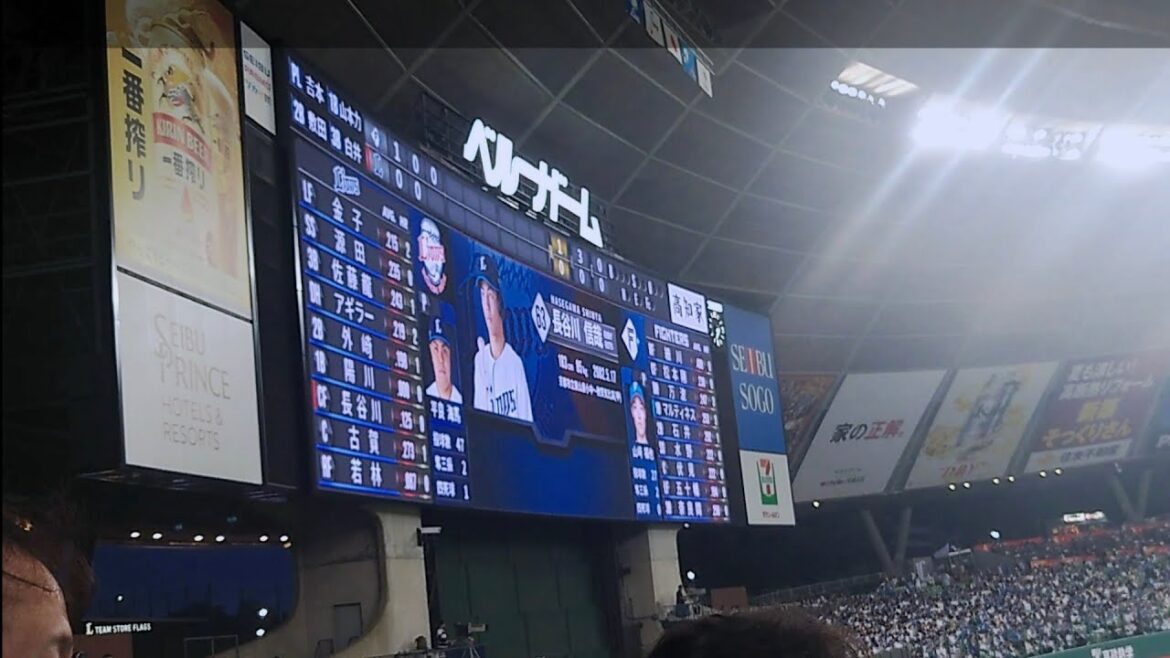 西武 長谷川信哉登場曲〜Rachel Platte「Fight Song」