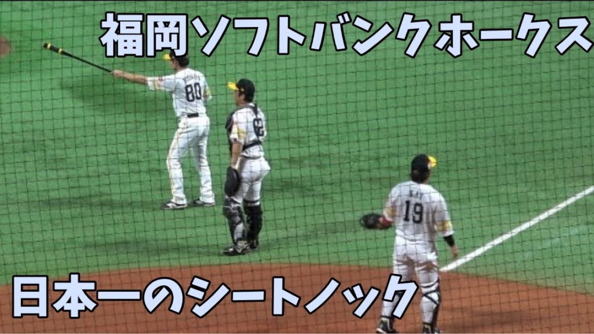 リーグ制覇へ死角なしの守備力披露 👹ソフトバンクホークスシートノック（フルver.）✊2024.8.11⚾️PayPayドームより