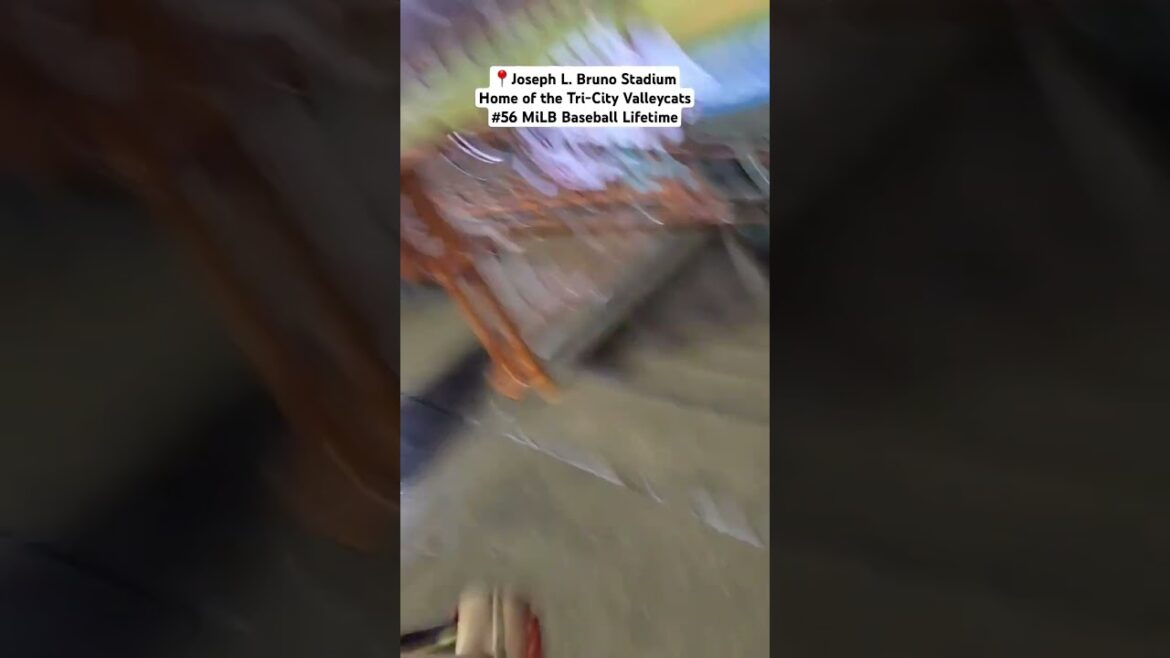 Catching a Foul Ball at Joseph L. Bruno Stadium, Home of the Tri-City Valleycats!